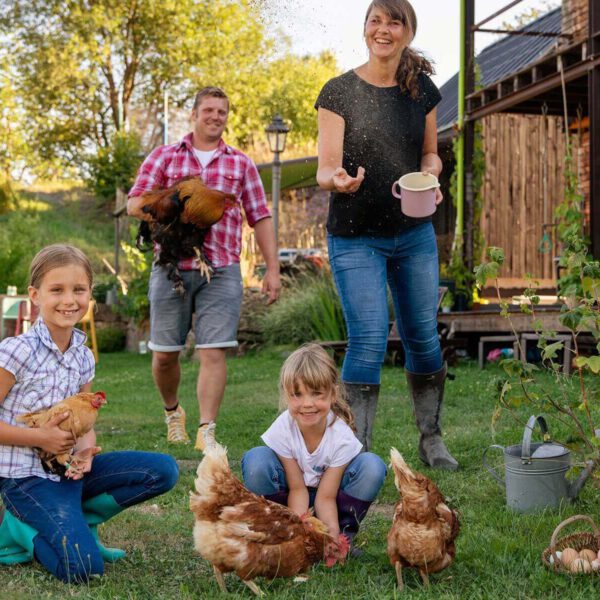 Eine junge Familie füttert Hühner im Garten