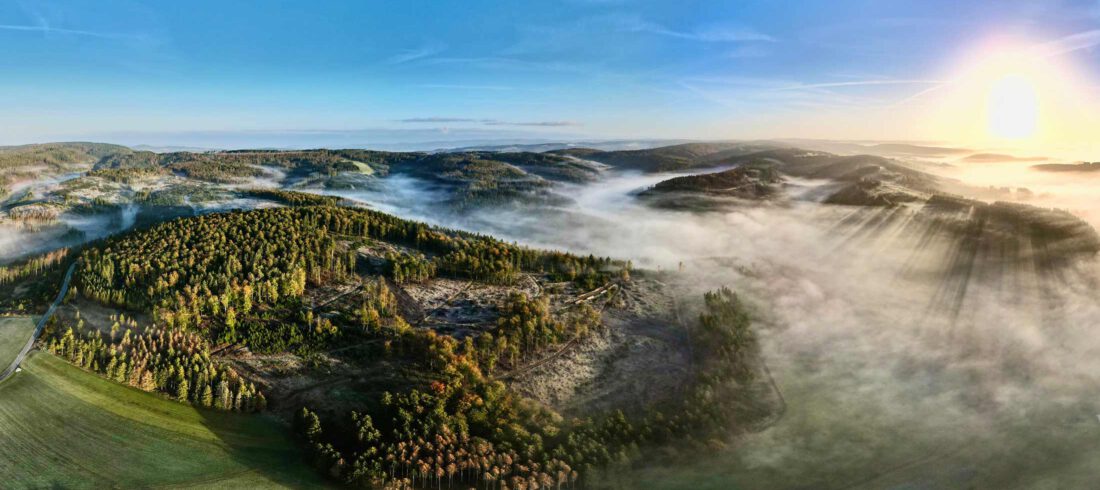 Luftaufnahme eines Waldgebietes im Frühnebel