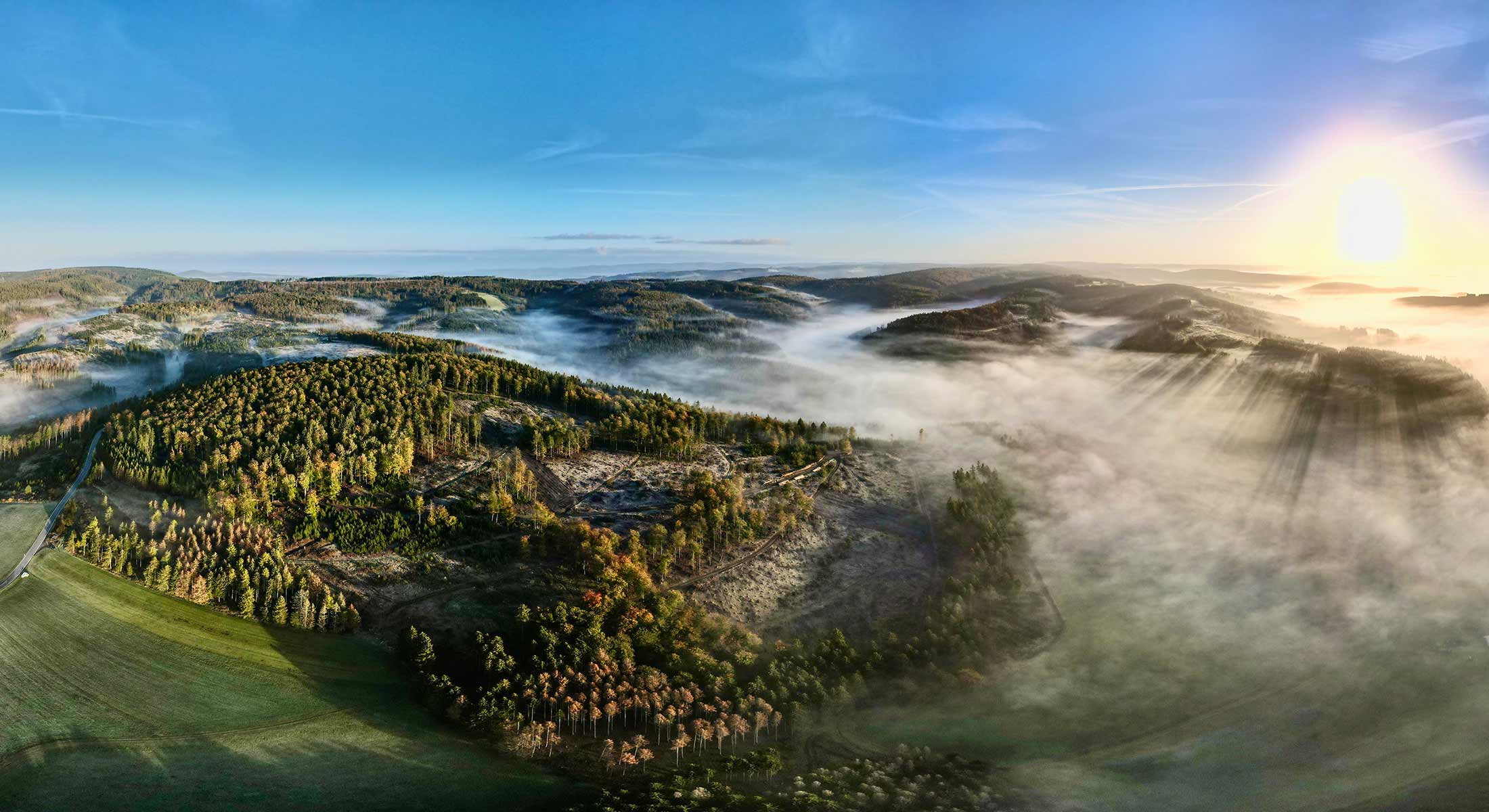 Luftaufnahme eines Waldgebietes im Frühnebel