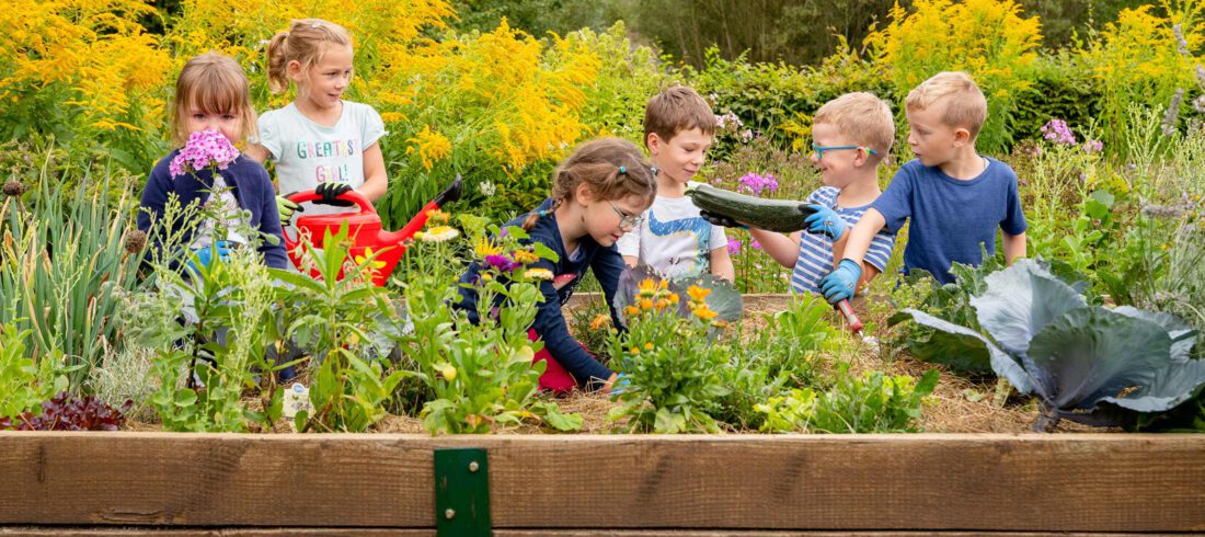 Kindergartenkinder arbeiten an einem Hochbeet