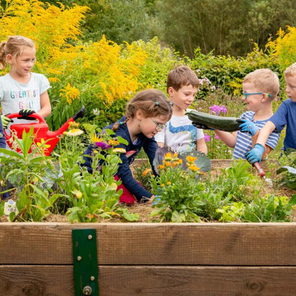 Kindergartenkinder arbeiten an einem Hochbeet