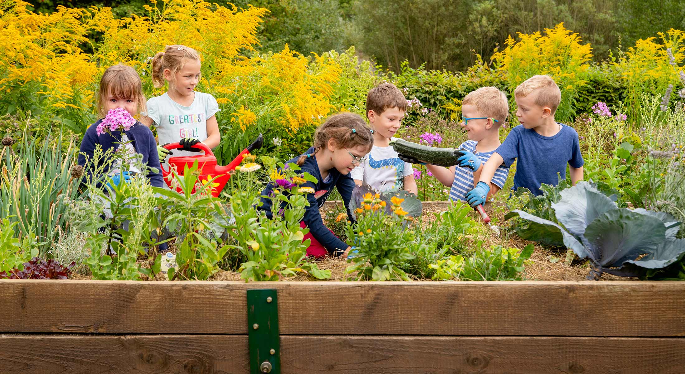 Kindergartenkinder arbeiten an einem Hochbeet