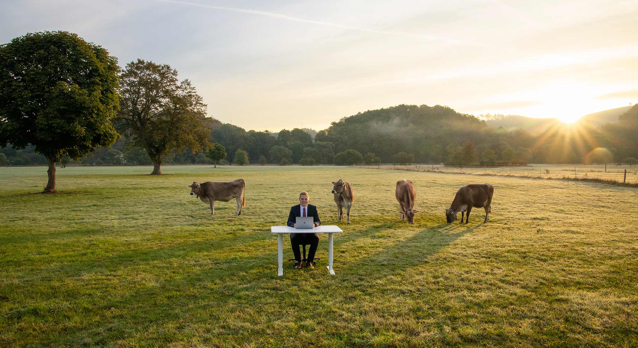 Mobiles Arbeiten zeigt einen junger Mann, der bei Sonnenaufgang mit einem Laptop an einem Schreibtisch auf einer Wiese mit Kühen sitzt