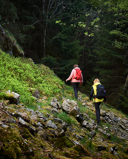 Zwei Frauen, die an einer Felsformation im Wald entlang wandern