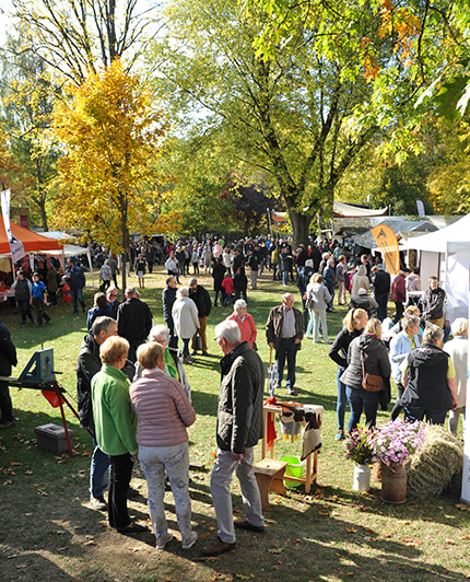 Menschen bei einer Veranstaltung draußen in einem Park im Herbst