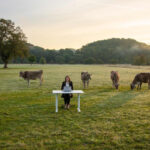 Mobiles Arbeiten zeigt eine junge Frau, die bei Sonnenaufgang mit einem Laptop an einem Schreibtisch auf einer Wiese mit Kühen sitzt.