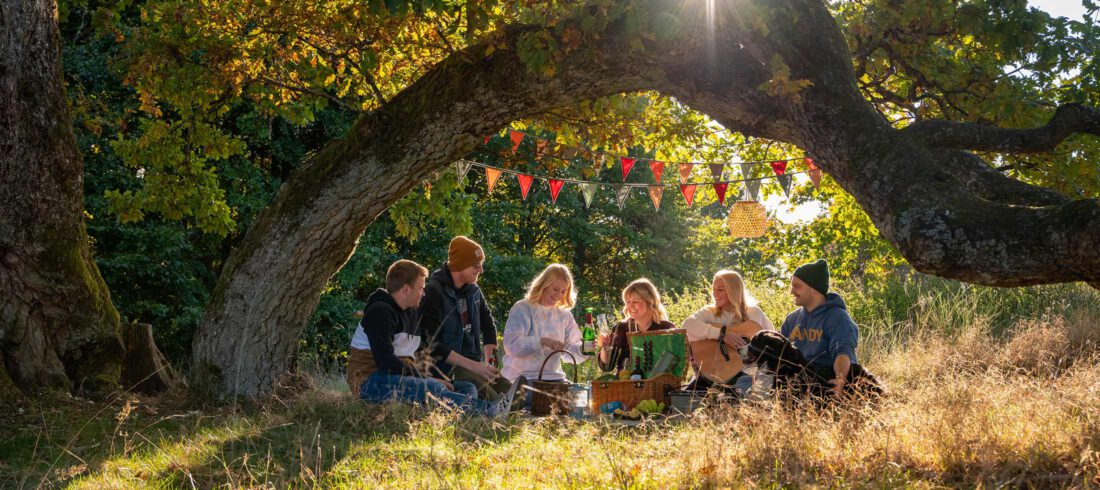 Soziales Netzwerk: Eine Gruppe junger Menschen, die sich in der Nachmittagssonne unter einem Baum im hohen Gras zu einem Picknick trifft