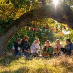 Soziales Netzwerk: Eine Gruppe junger Menschen, die sich in der Nachmittagssonne unter einem Baum im hohen Gras zu einem Picknick trifft
