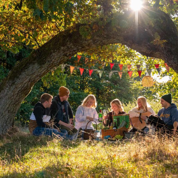 Soziales Netzwerk: Eine Gruppe junger Menschen, die sich in der Nachmittagssonne unter einem Baum im hohen Gras zu einem Picknick trifft