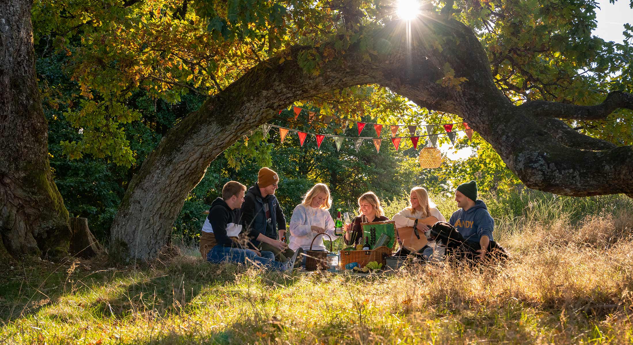 Soziales Netzwerk: Eine Gruppe junger Menschen, die sich in der Nachmittagssonne unter einem Baum im hohen Gras zu einem Picknick trifft