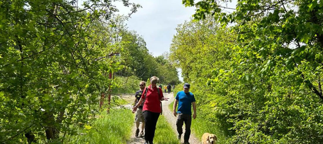 Neubürgerwanderung in Bad Berleburg von Perspektive BLB, ein Projekt der JFV Bad Berleburg Veranstaltungs-GmbH