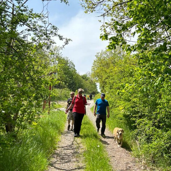 Neubürgerwanderung in Bad Berleburg von Perspektive BLB, ein Projekt der JFV Bad Berleburg Veranstaltungs-GmbH