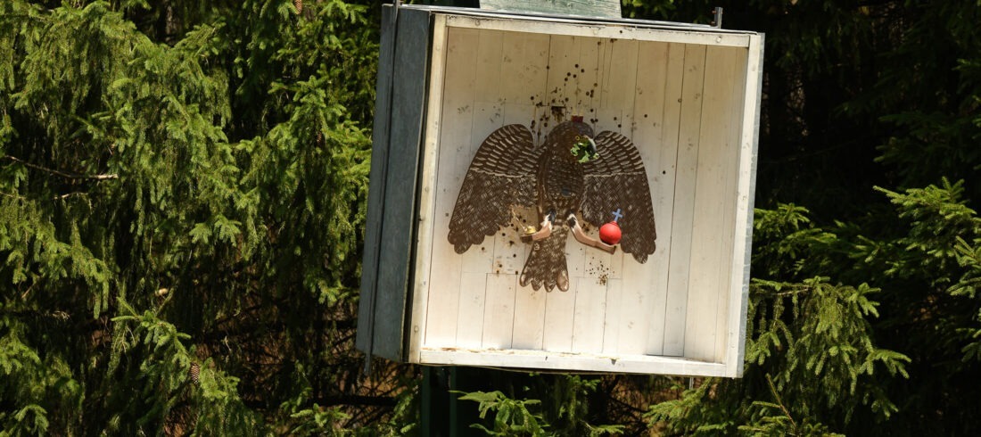 Zielorientiert aus unserer Perspektive. Ein hölzerner Vogel an der Vogelstange zum Schützenfest