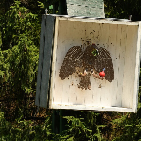 Zielorientiert aus unserer Perspektive. Ein hölzerner Vogel an der Vogelstange zum Schützenfest